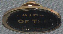 Lapel Badges - Oval - Chrome Lapel Badges - Oval - Chrome